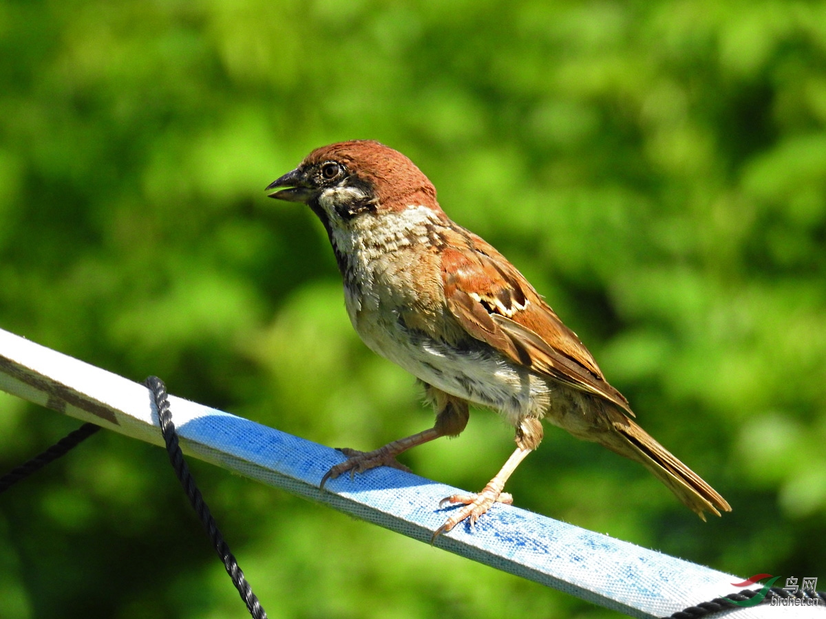 DSCN5570 ����.jpg