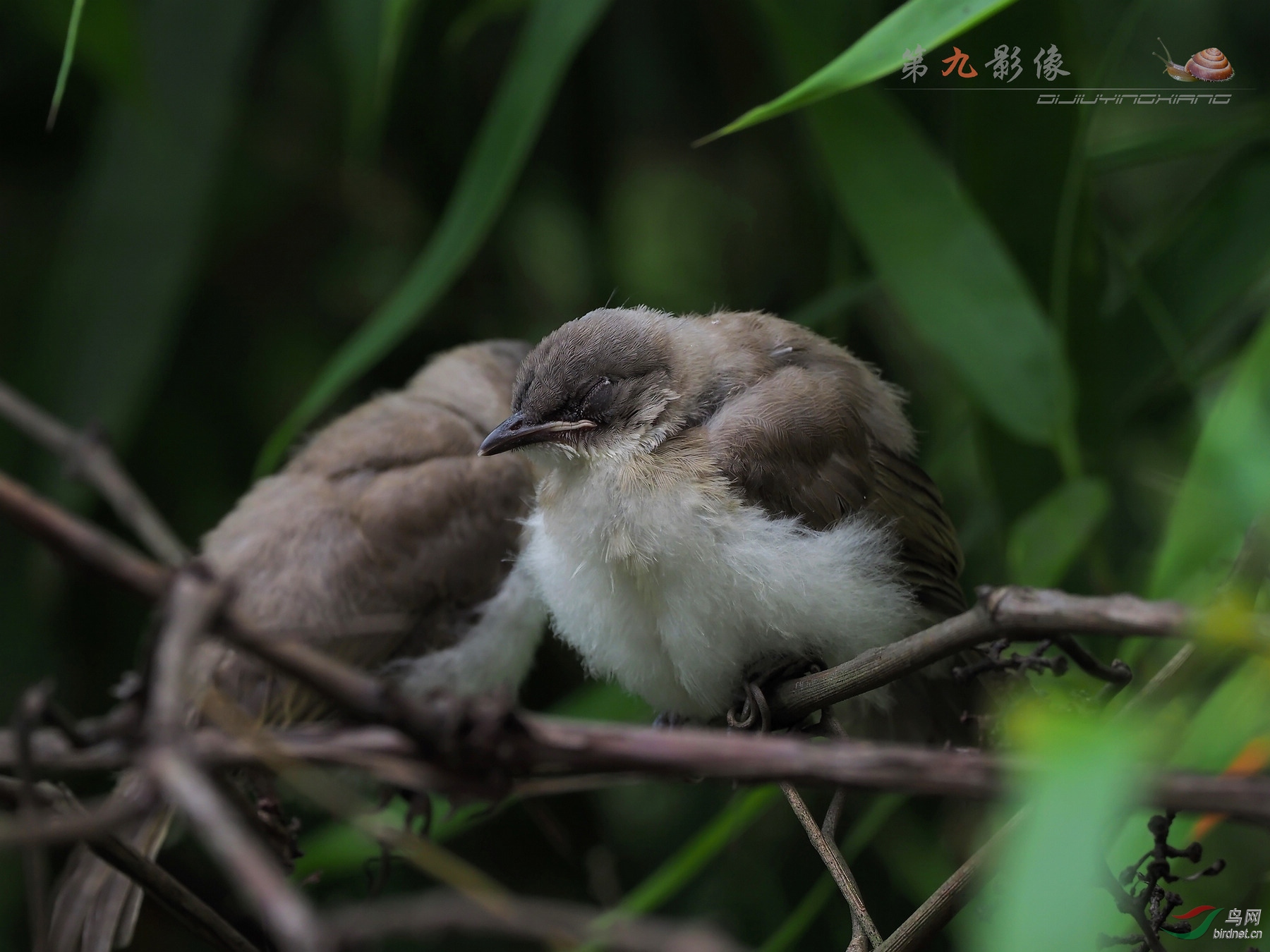 E-M1 MK2170713_350-1..jpg