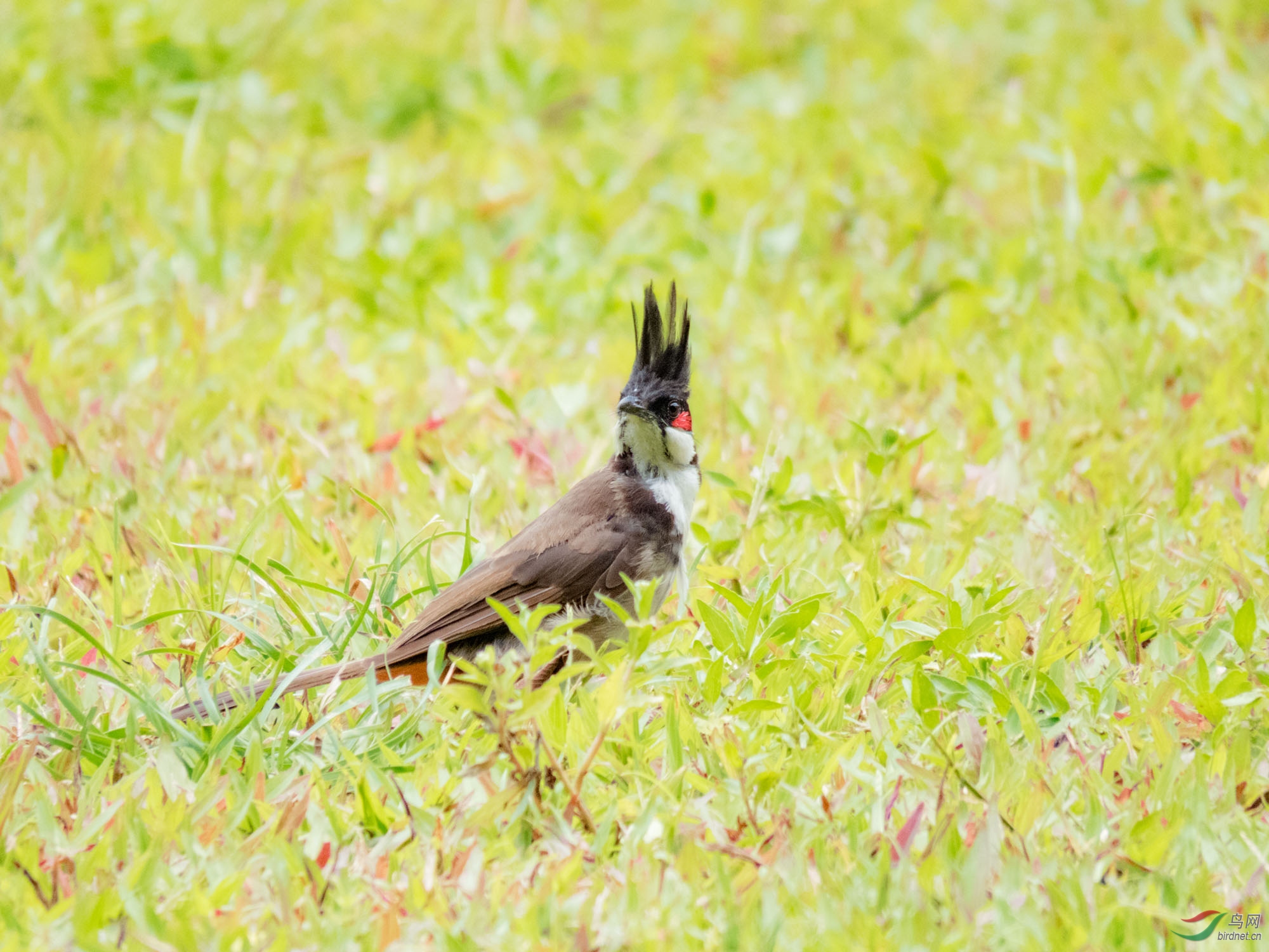 ����Լ7��