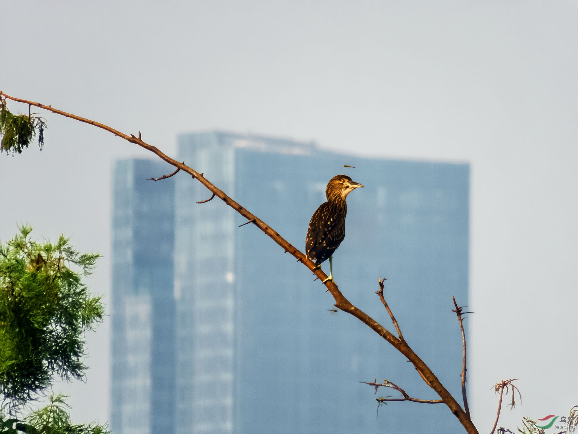 ����Լ80��