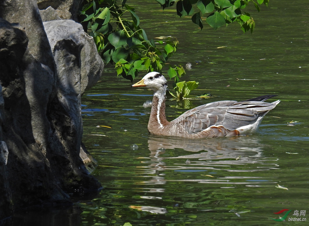 DSCN5654 ����.jpg