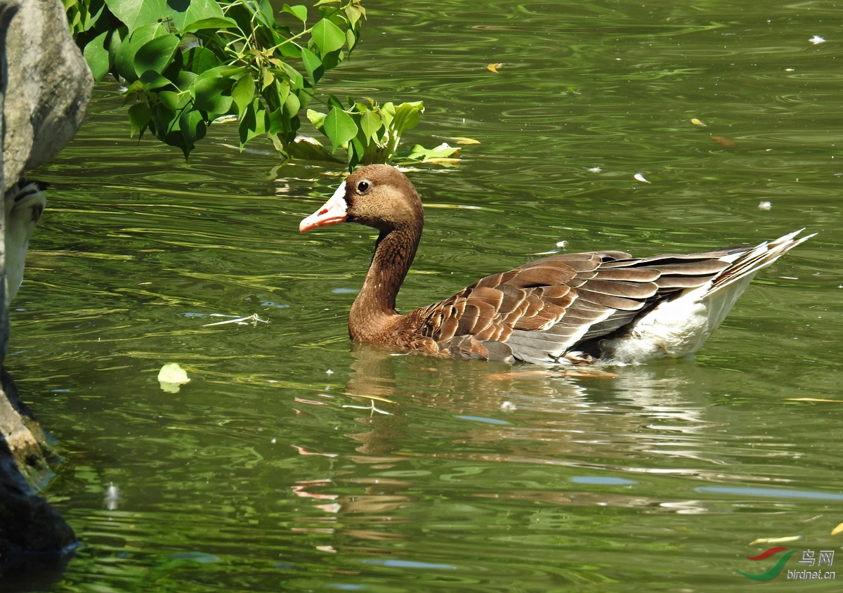 DSCN5660 ����.jpg