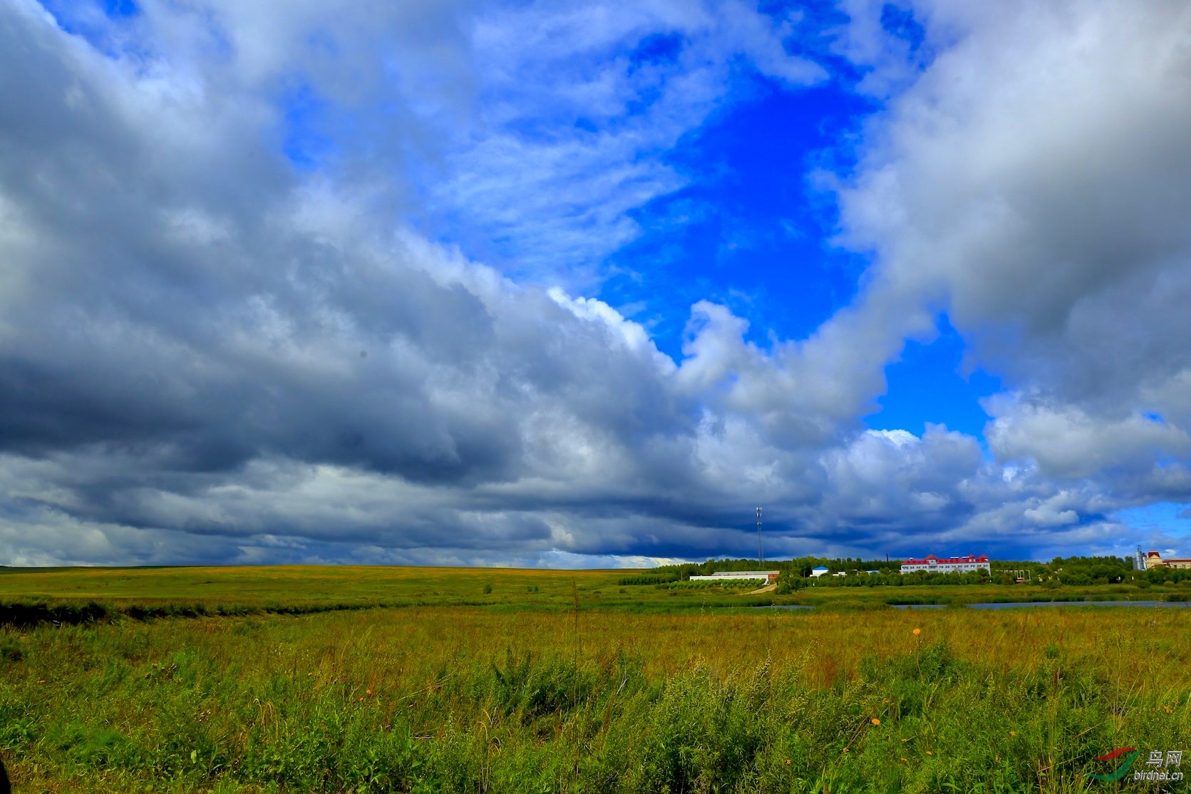 今日北大荒农场风景宜人
