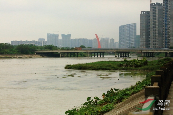 _39A3746229232.JPG