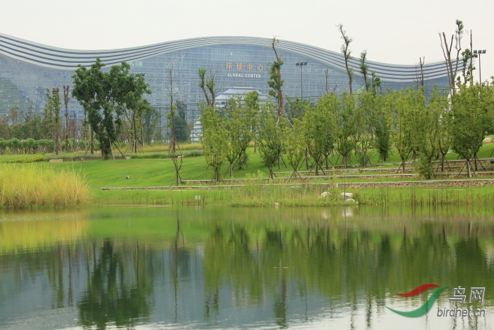 �Ϲ�̲ (1)232.JPG