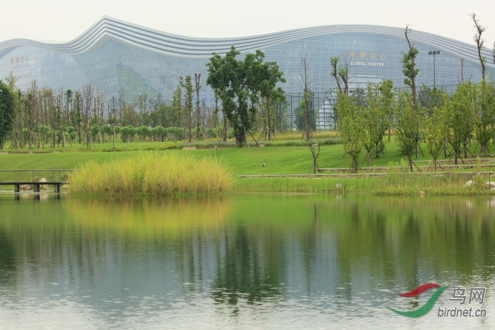 �Ϲ�̲ (3)232.JPG