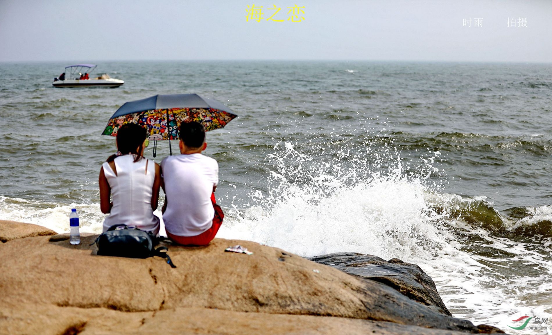 海之恋