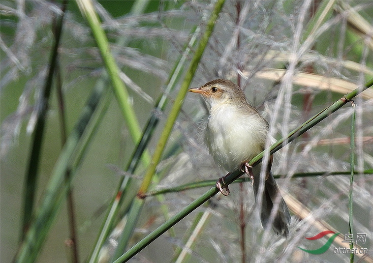 DSCN1431.jpg