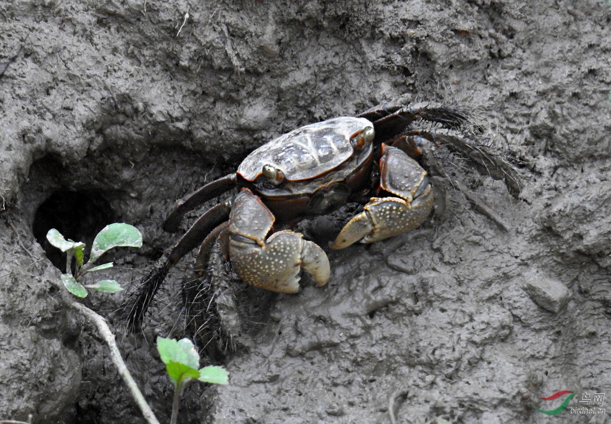 DSCN5730 ����.jpg