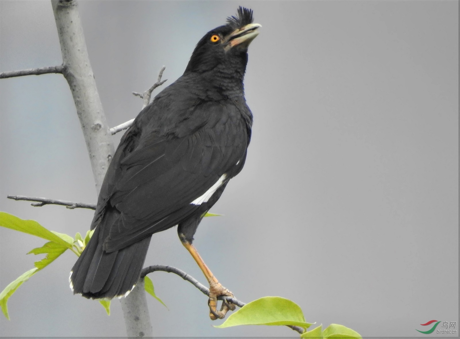 �˸�-����25��P900DSCN2265 ����.jpg