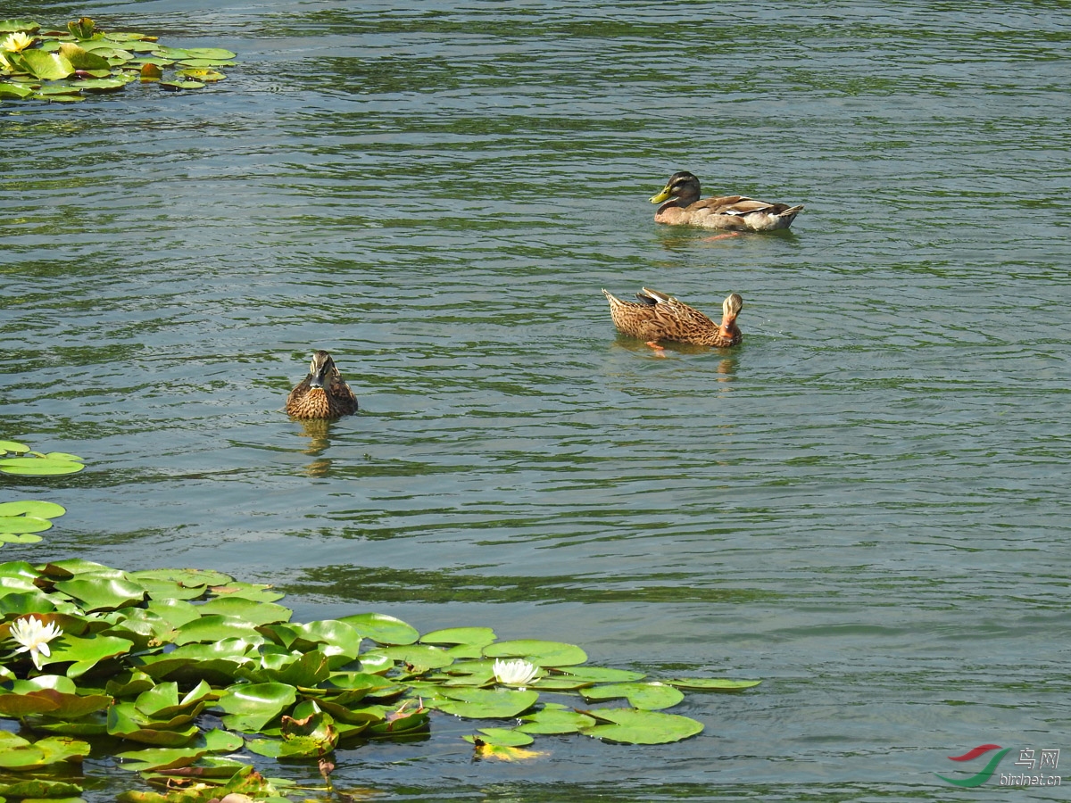 DSCN6210 ����.jpg