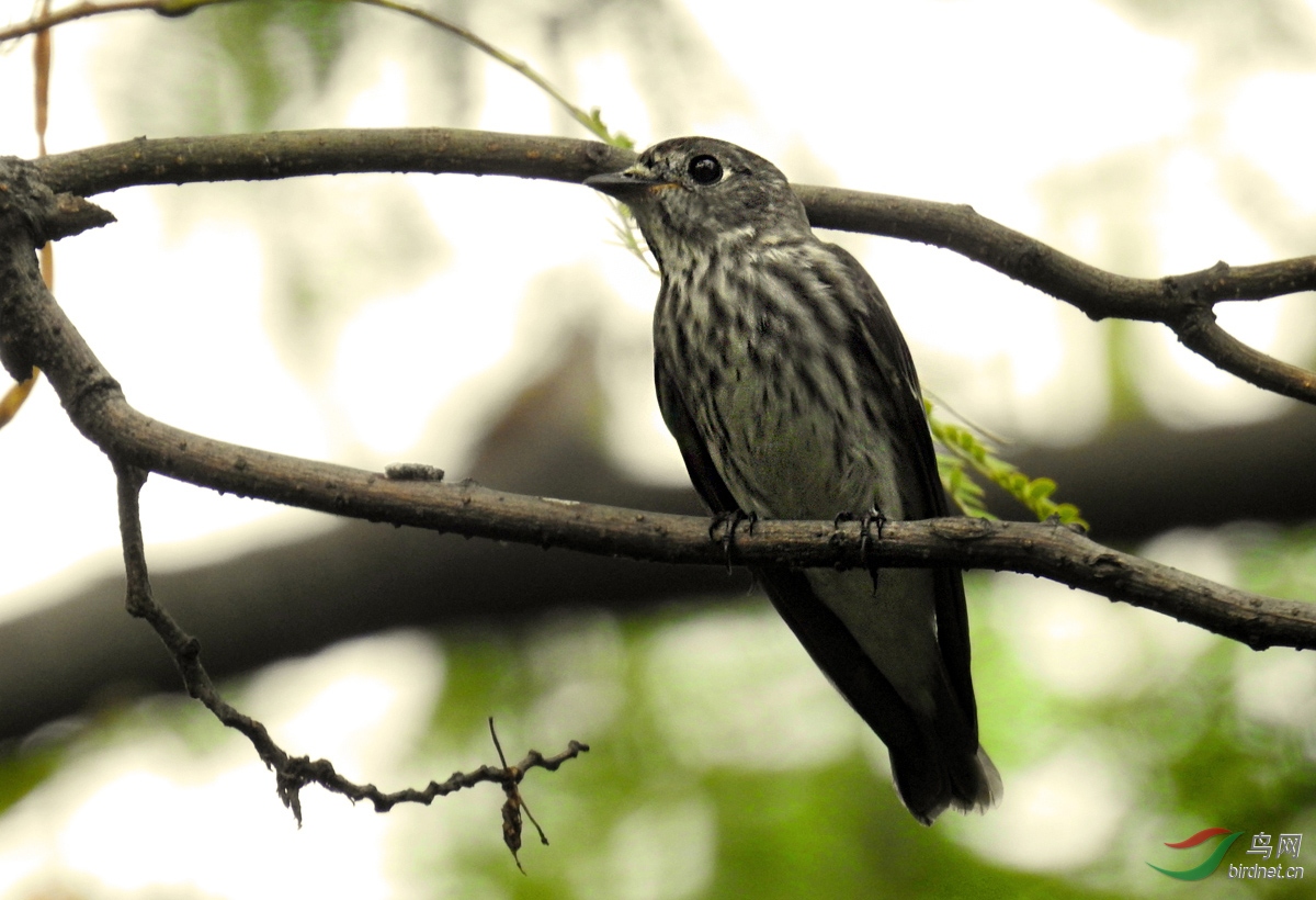 DSCN6254 ����.jpg