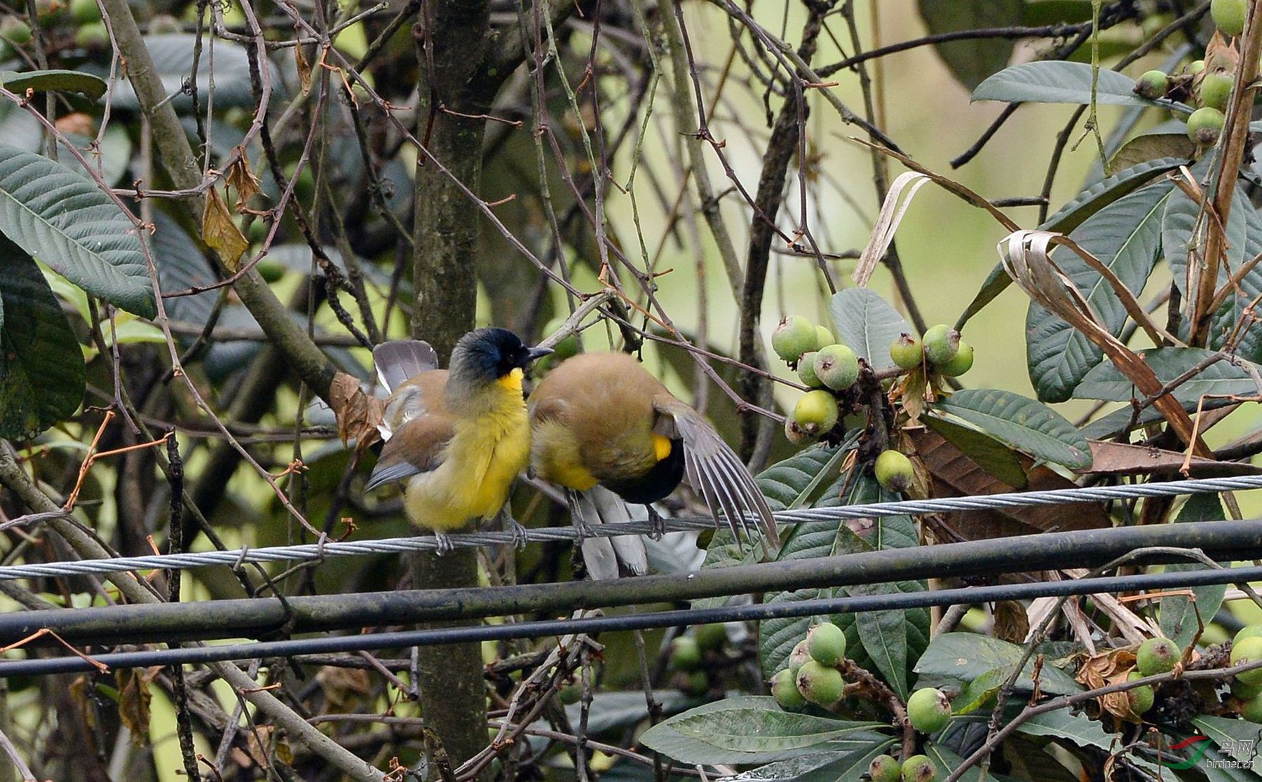 DSC_1809.JPG