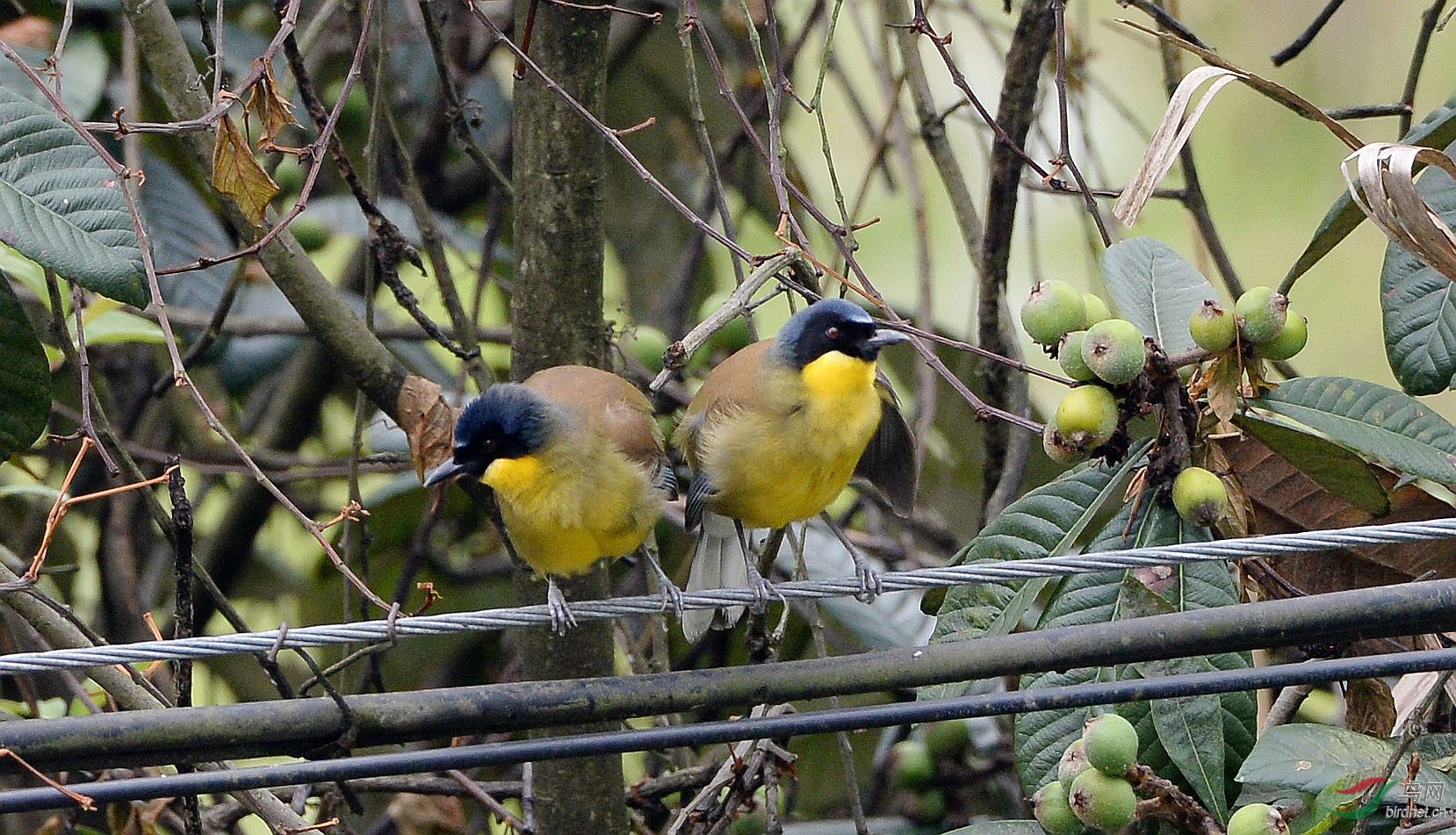 DSC_1845.JPG