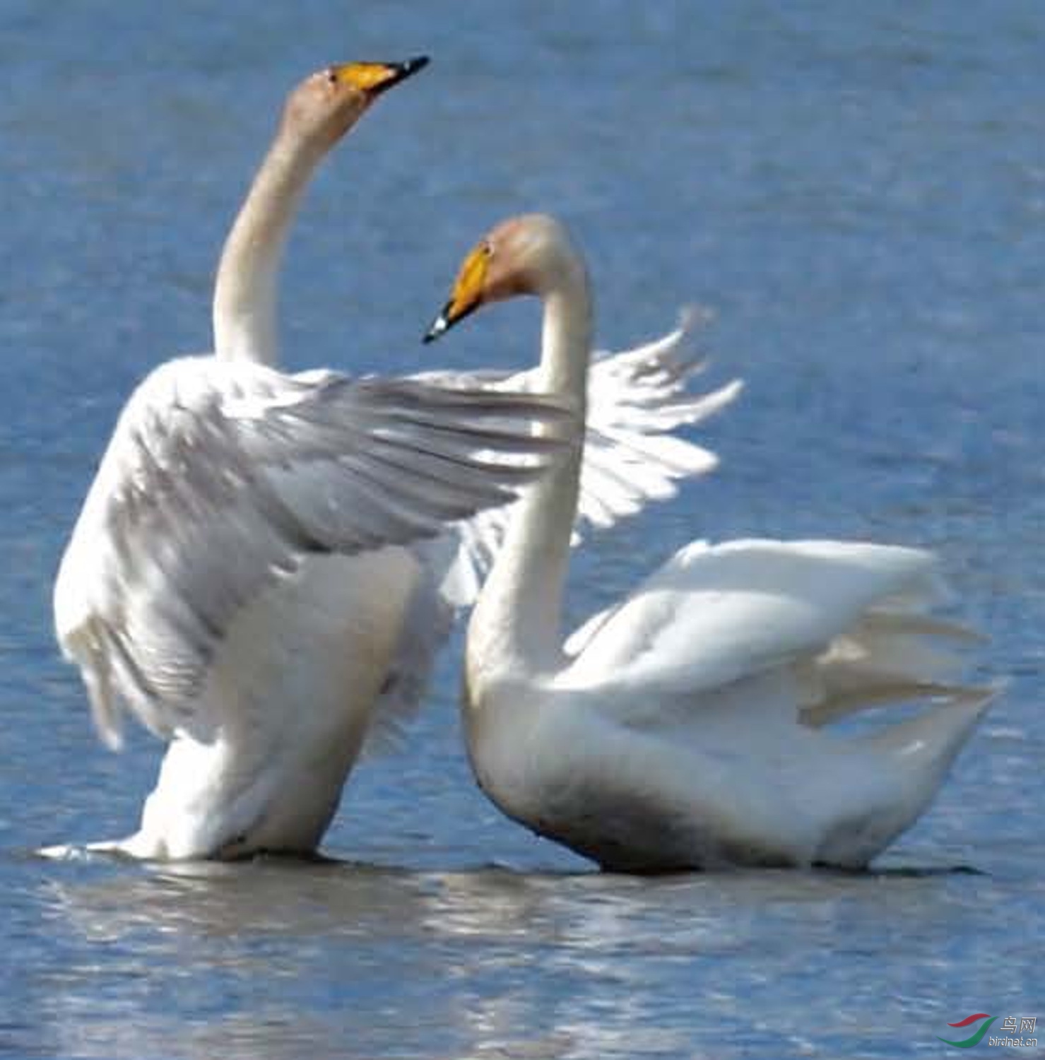 2015 ����S_Page_07_00001.jpg