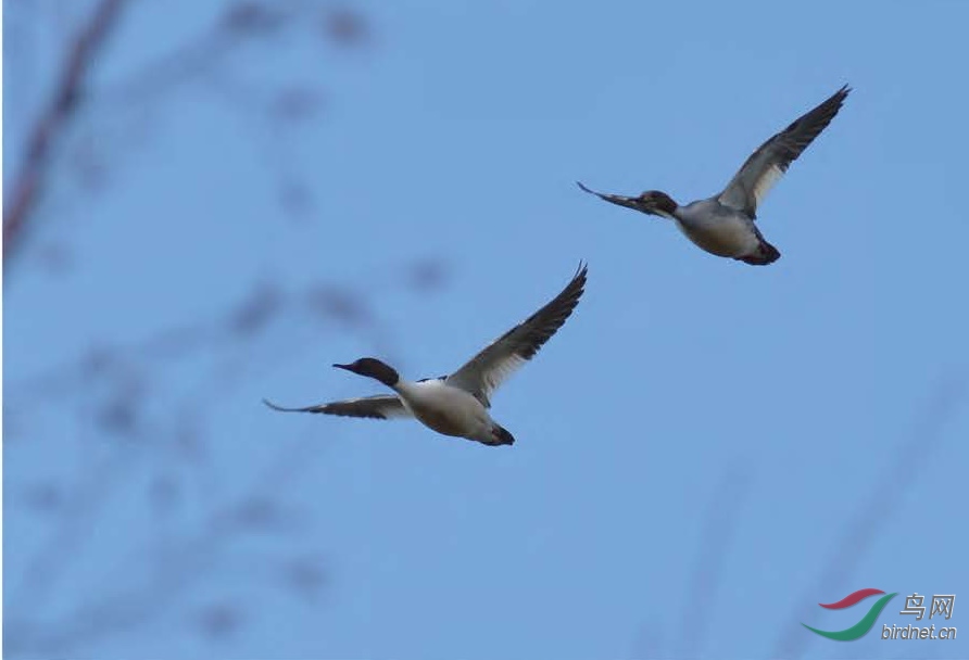 2015 ����S_Page_24_00004.jpg