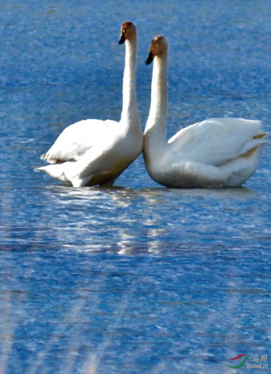 2015 ����S_Page_58_00005.jpg