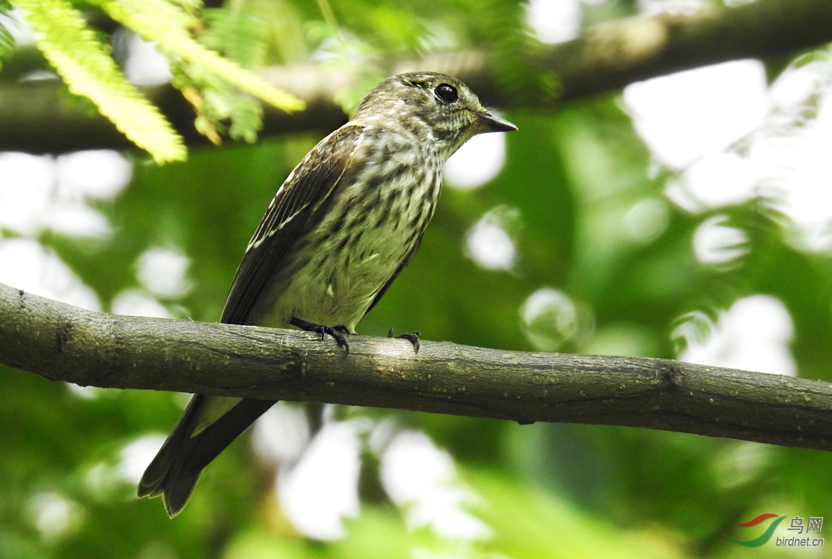 DSCN6302 ����.jpg