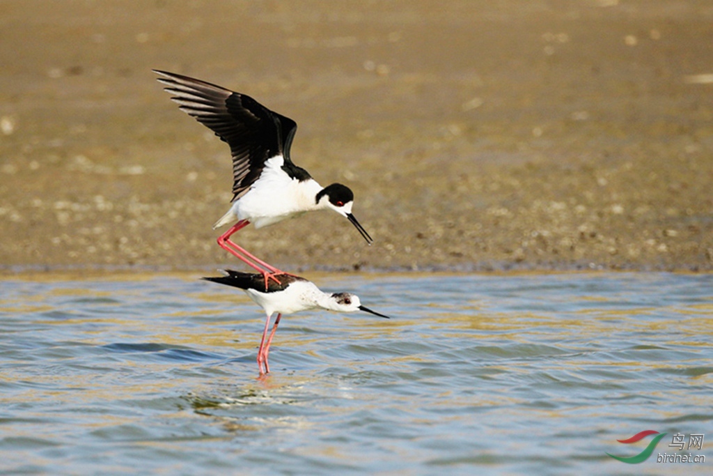 AR1E5799_����_���� - ����.jpg