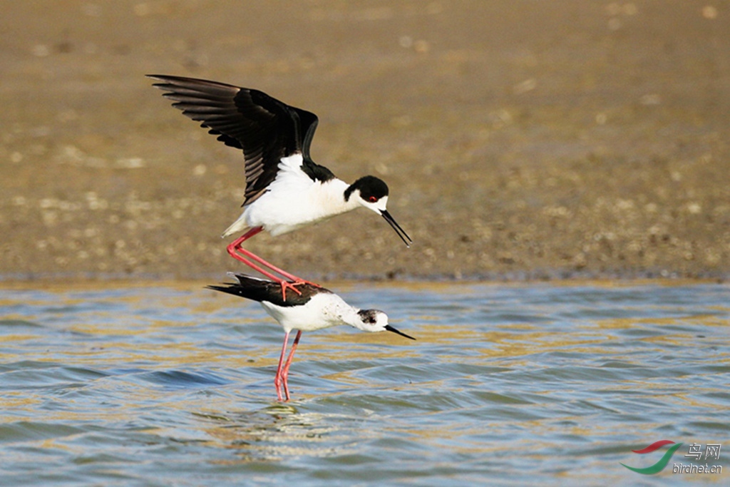 AR1E5803_����_���� - ����.jpg