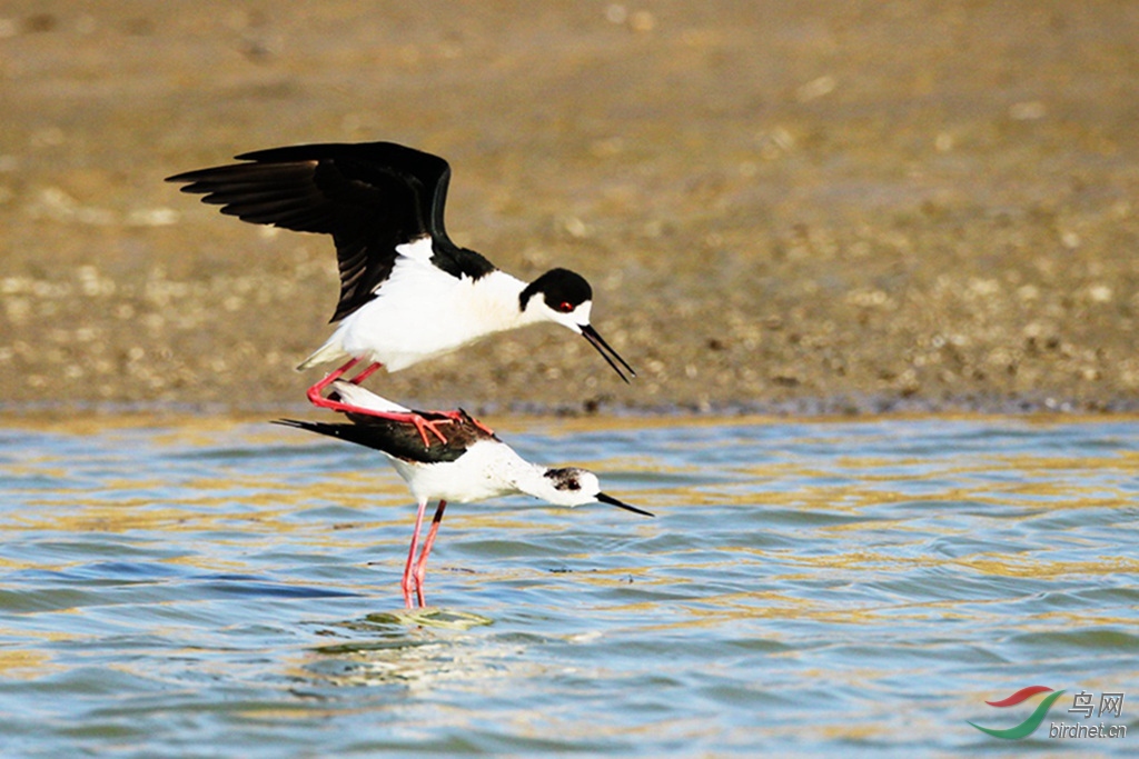 AR1E5814_����_���� - ����.jpg