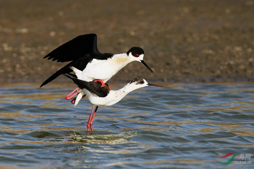 AR1E5827_����_���� - ����.jpg