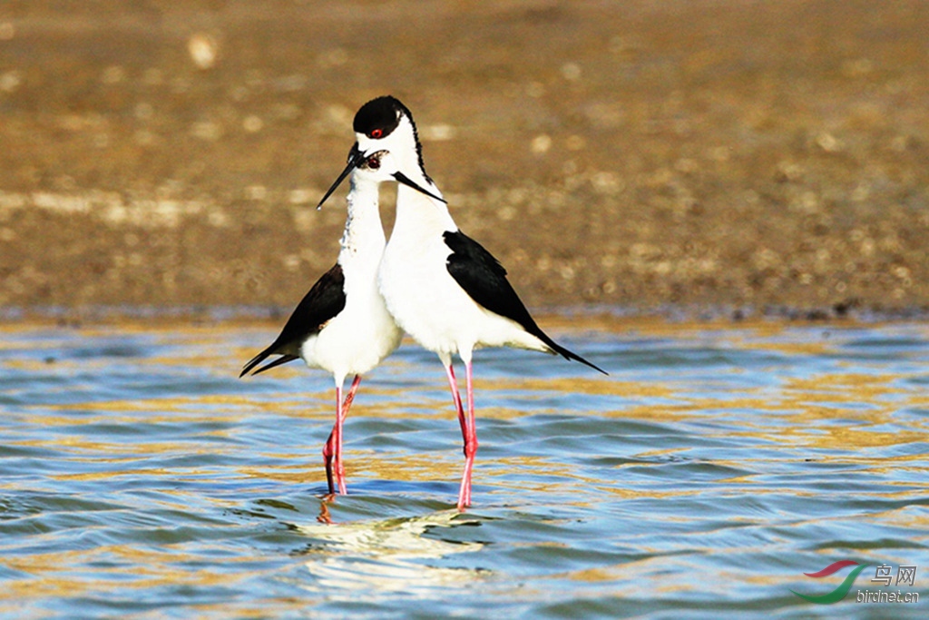 AR1E5840_����_���� - ����.jpg