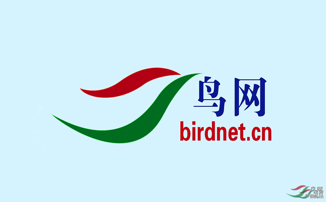 logo..jpg