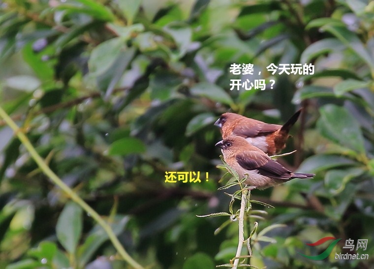 �������� (4).jpg