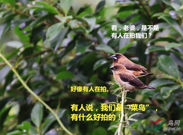 �������� (5).jpg