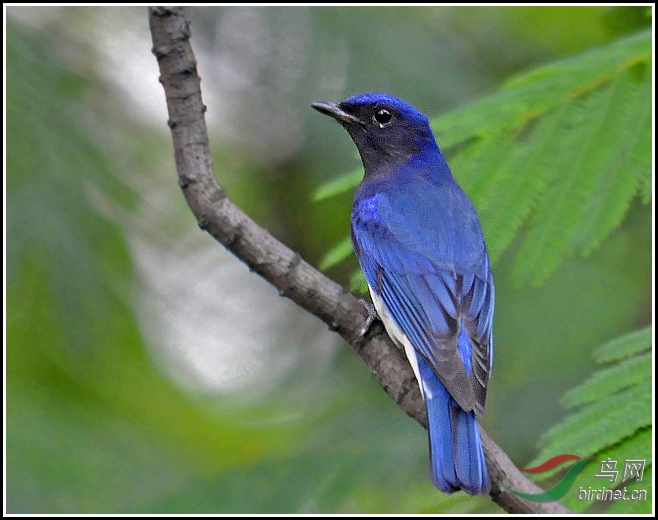 _DSC0118n ����2 ����.jpg