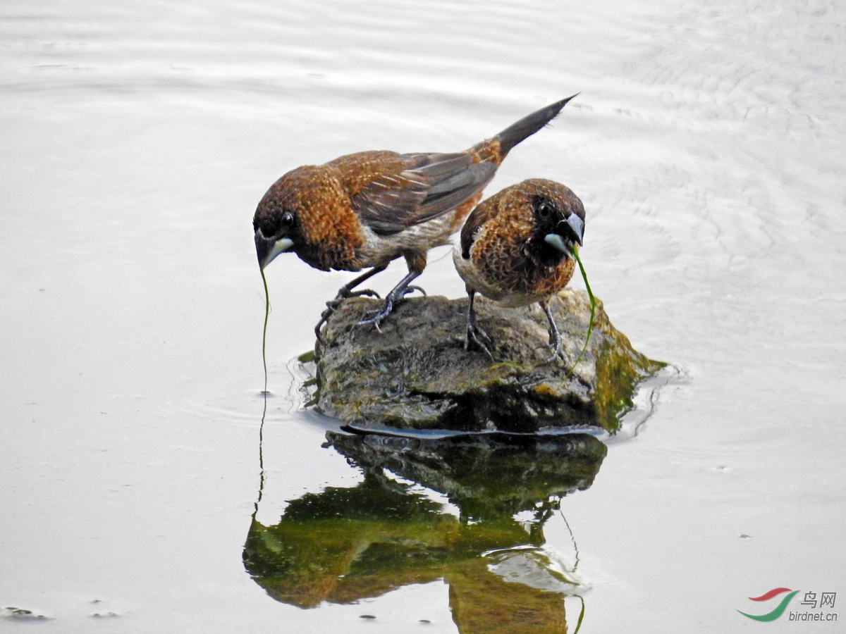 DSCN5805 ����.jpg