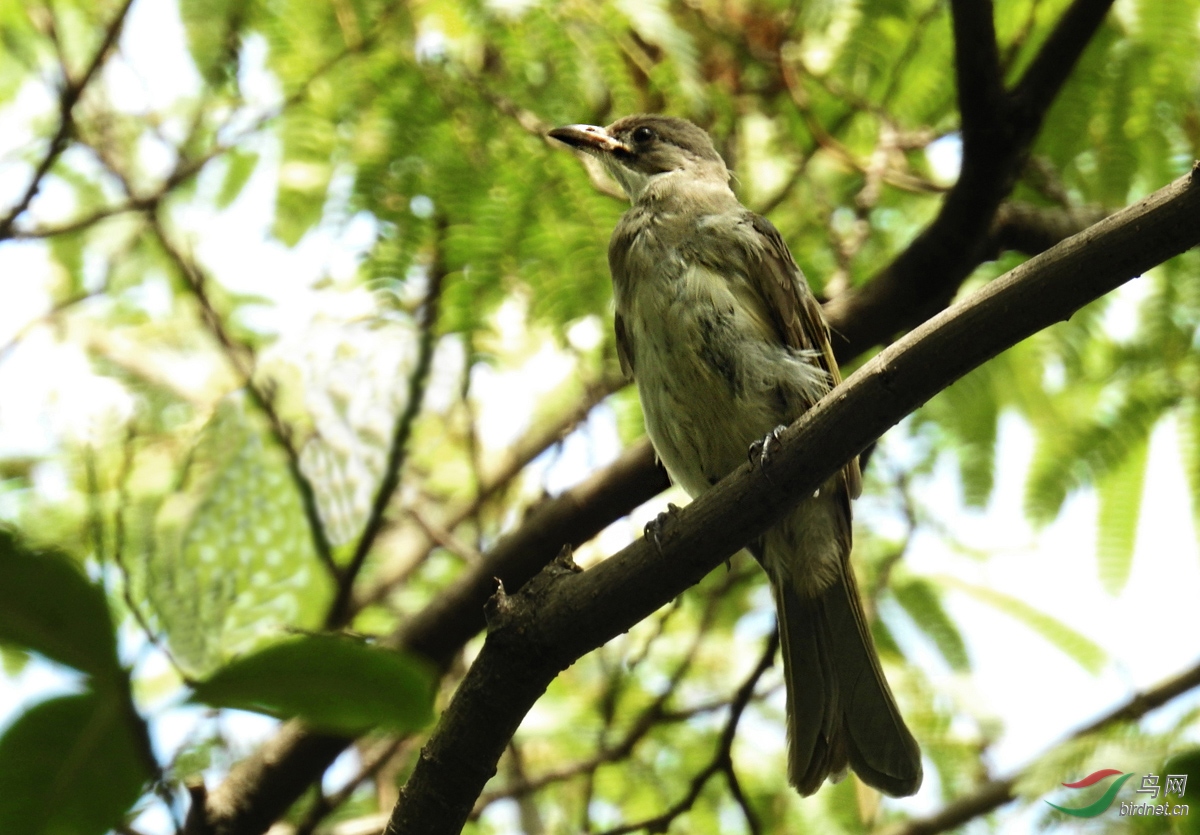 DSCN6773 ����.jpg