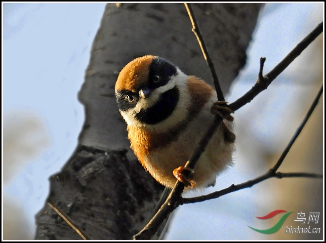 _DSC0043 ����.jpg