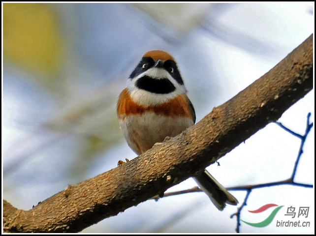 _DSC0082 ����.jpg