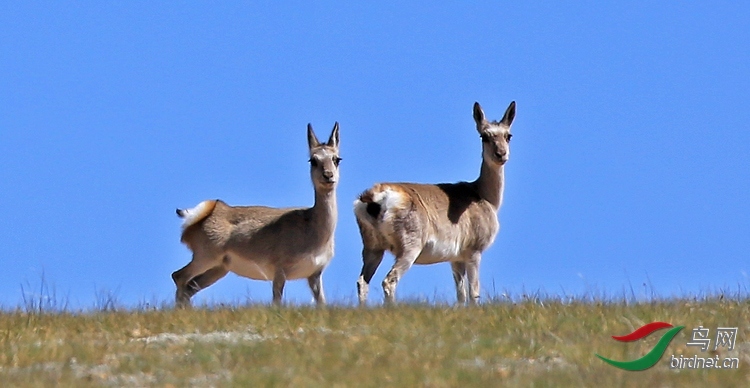 ����Ϫ  ������.jpg