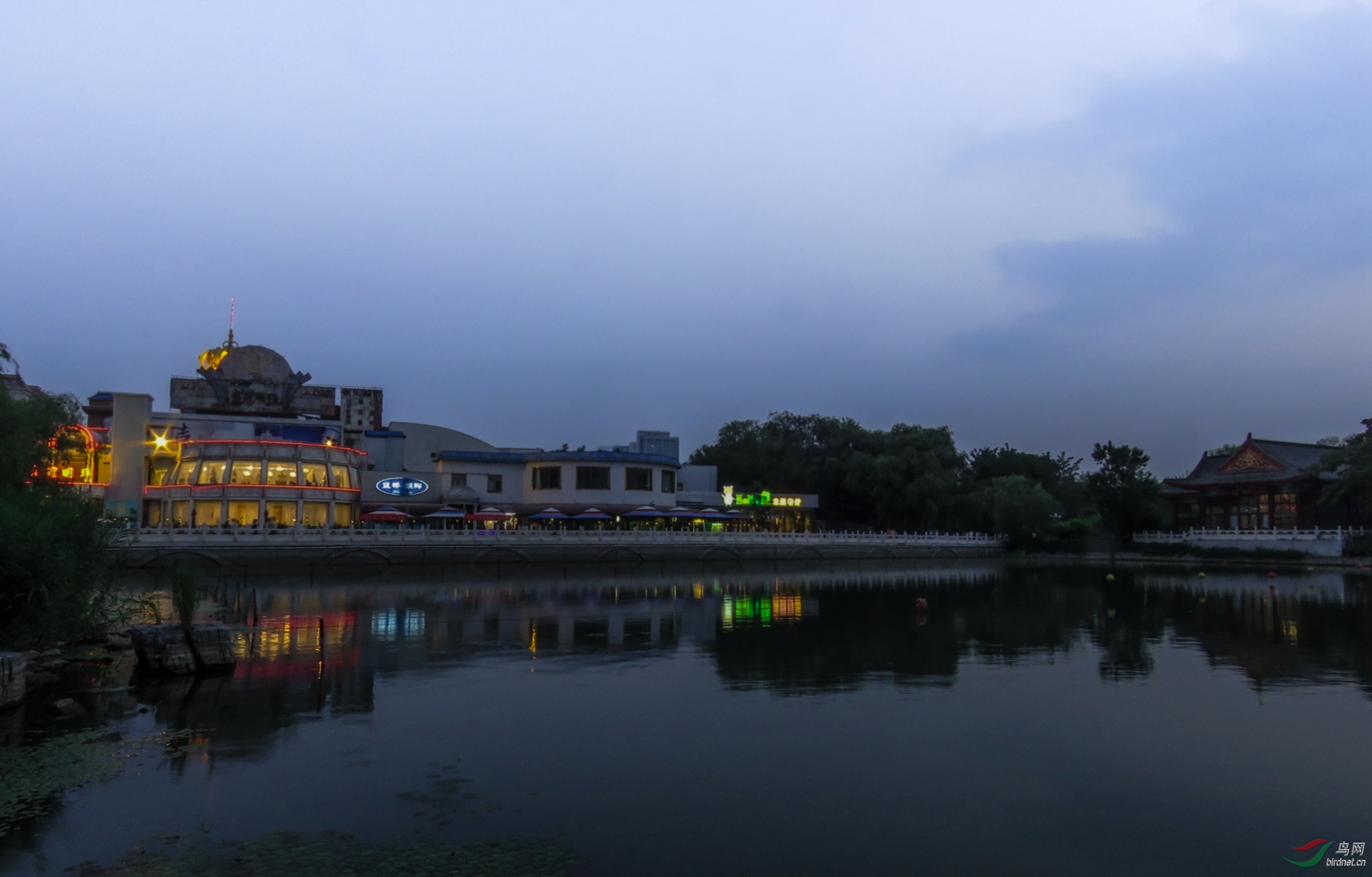 IMG_4628.jpg