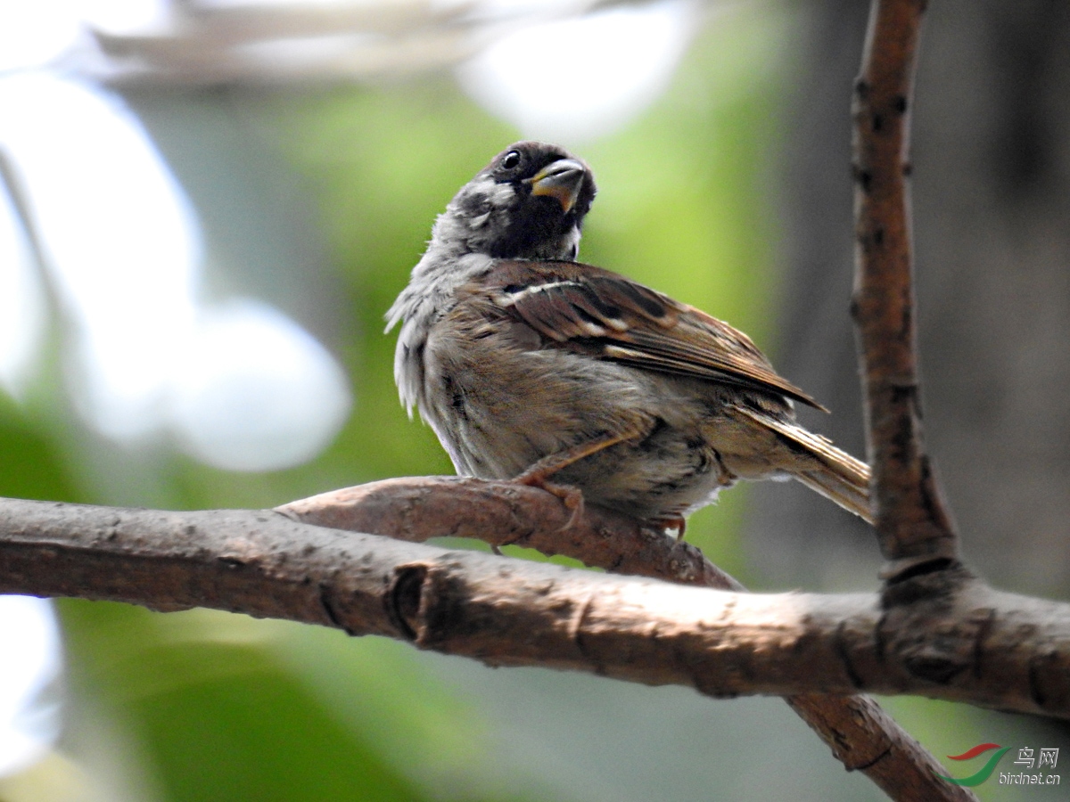 DSCN7095 ����.jpg