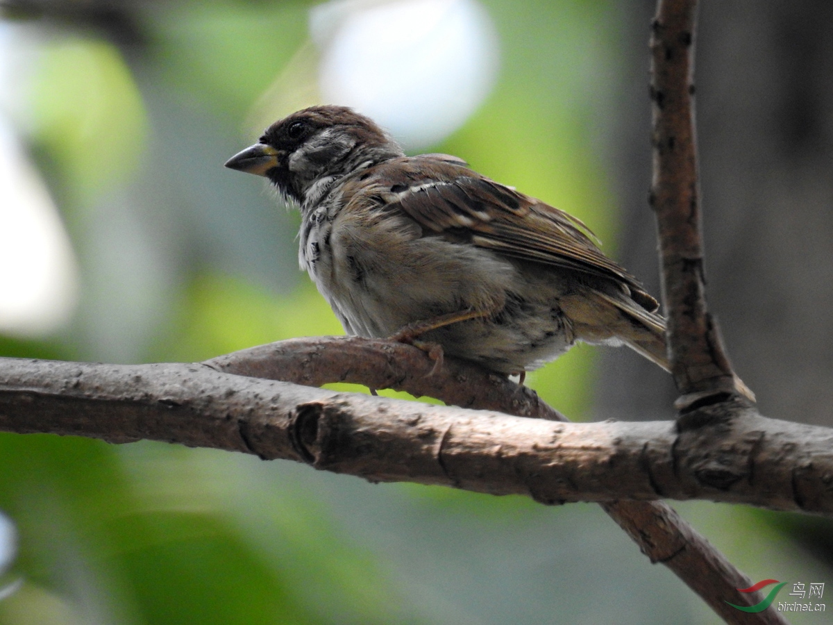 DSCN7097 ����.jpg