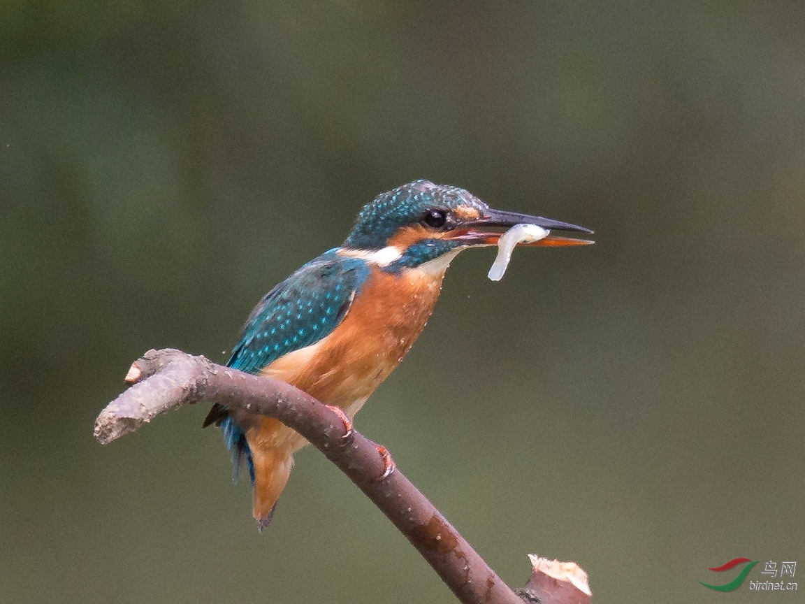 ��������3