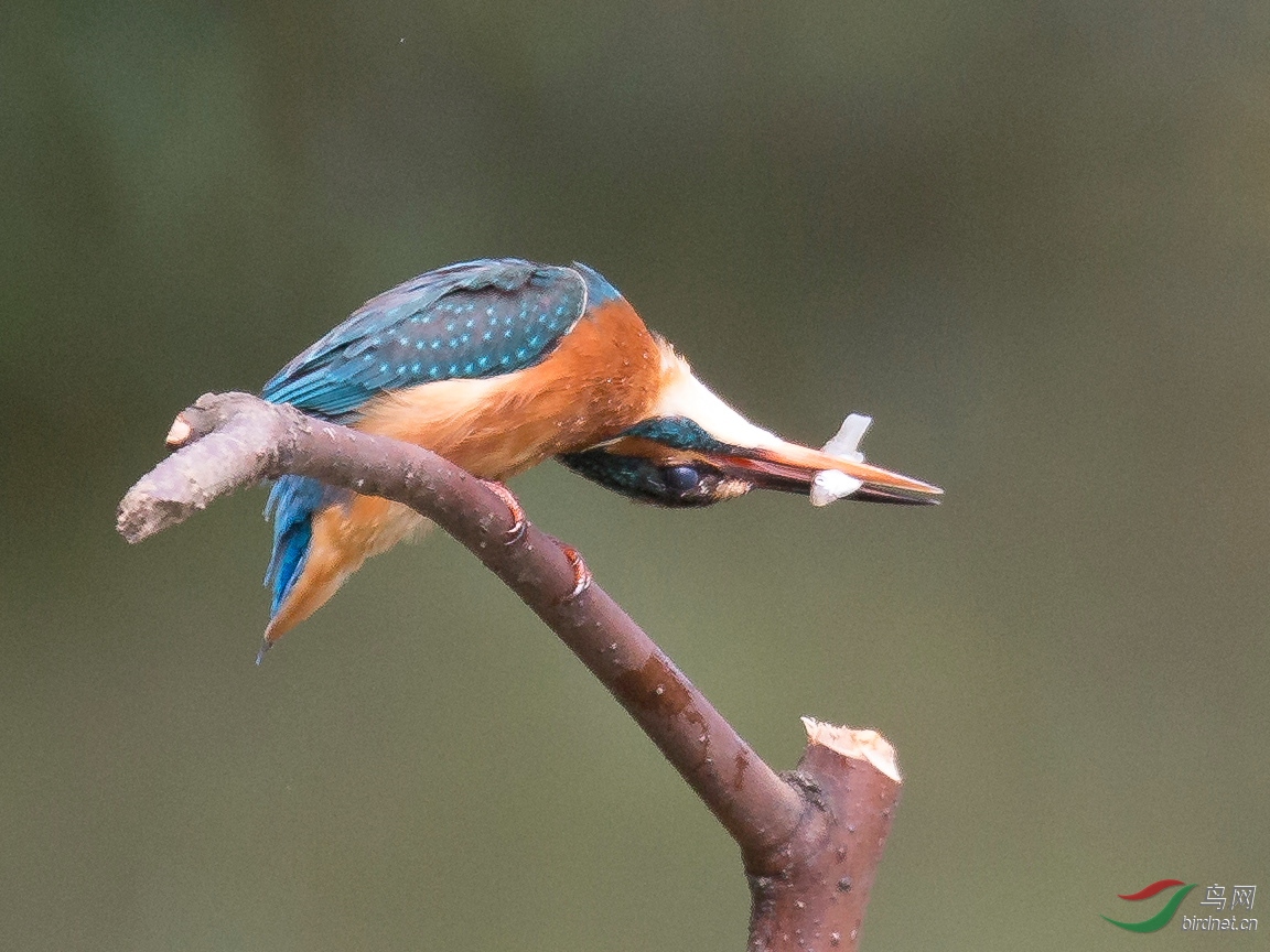 ��������4