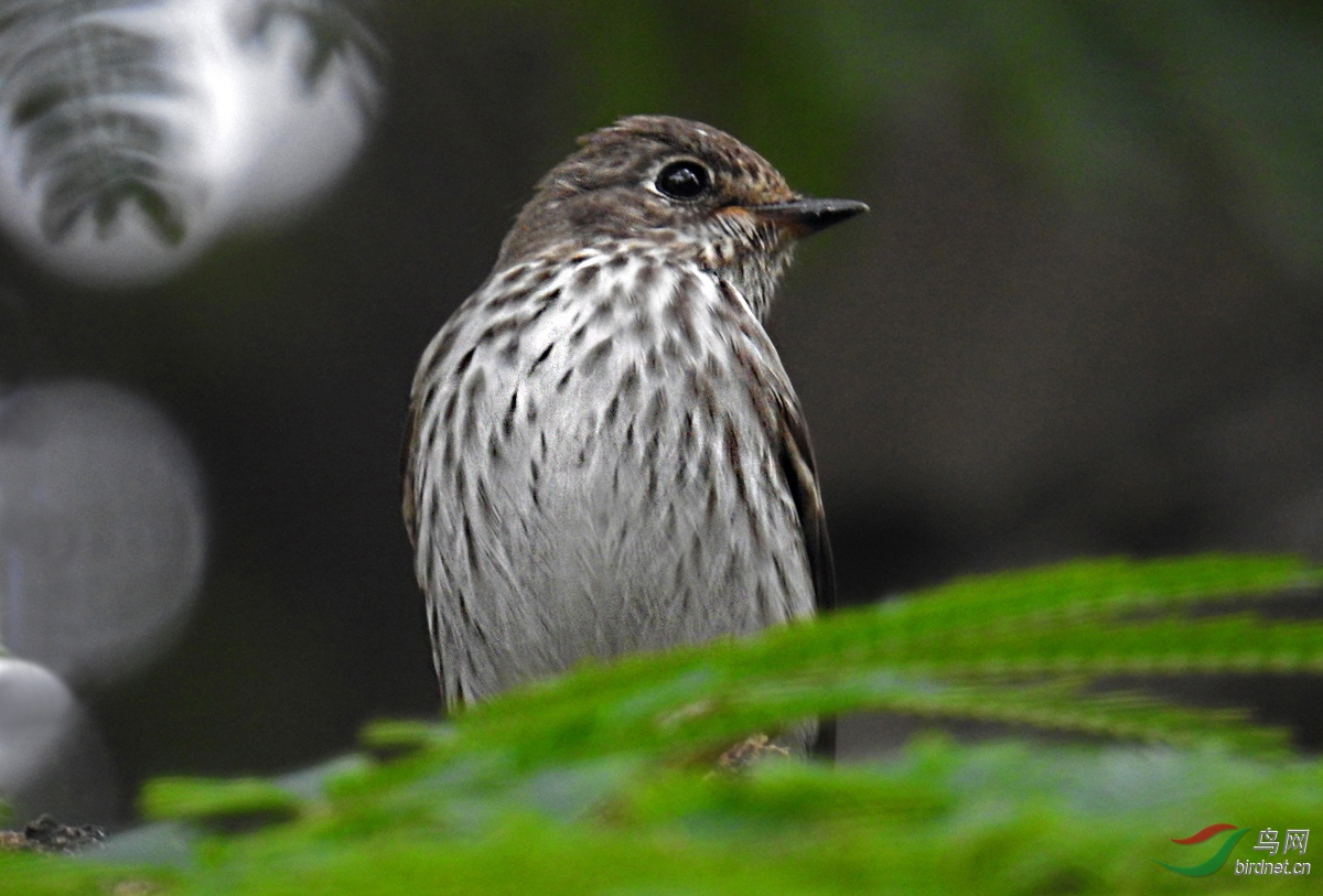 DSCN7156 ����.jpg