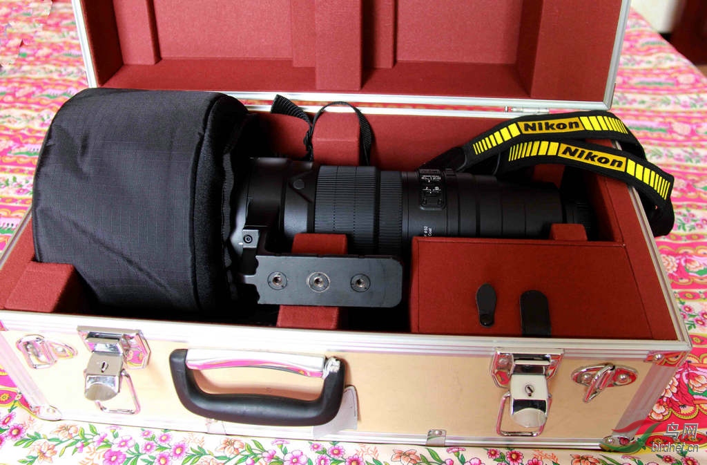 �῵D4S 640 ȫ��