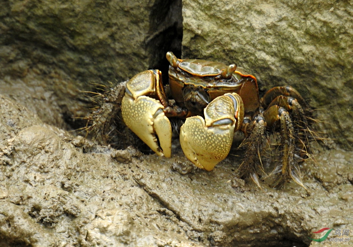 DSCN6093 ����.jpg