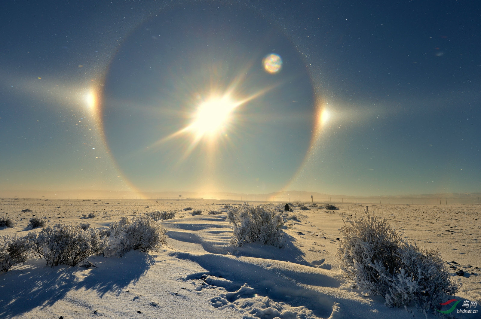 罕见天象日晕阿勒泰风光
