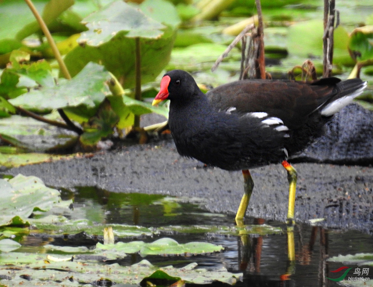 DSCN7335 ����.jpg