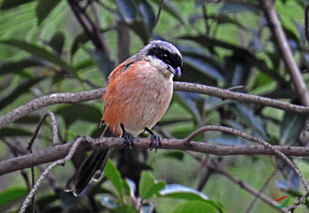 DSCN7361 ����.jpg