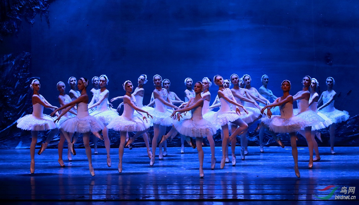 《天鹅湖》剧照