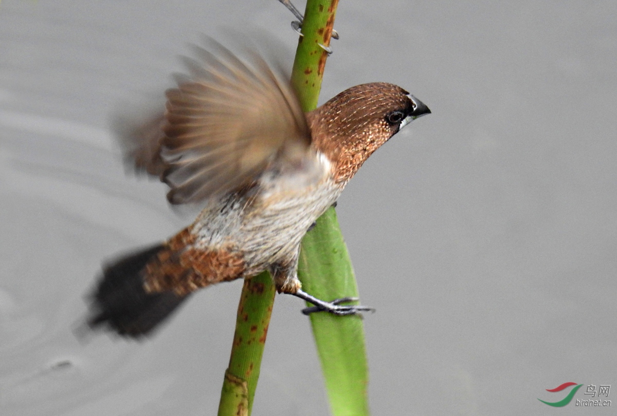 DSCN7476 ����.jpg