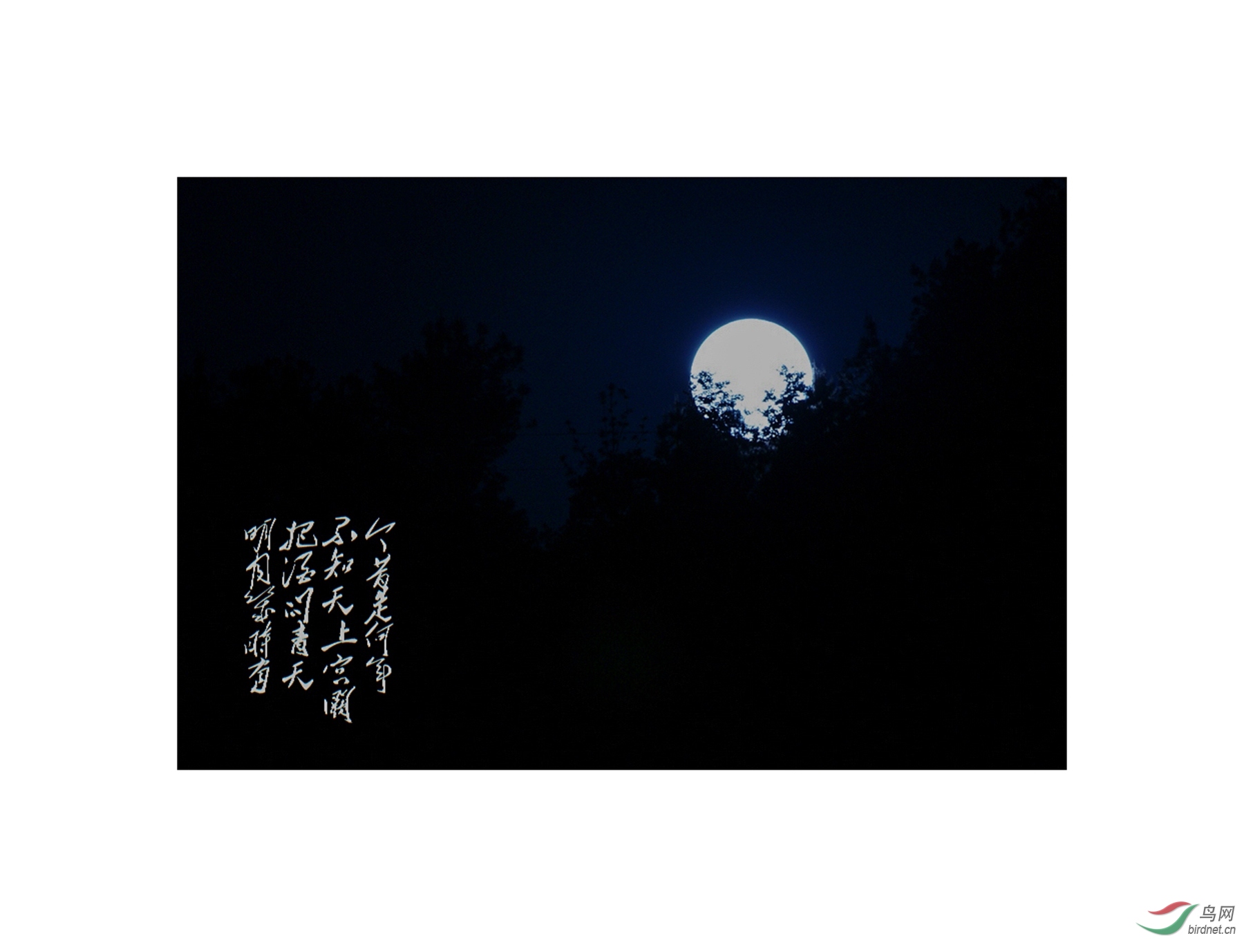 举头望明月低头思故乡